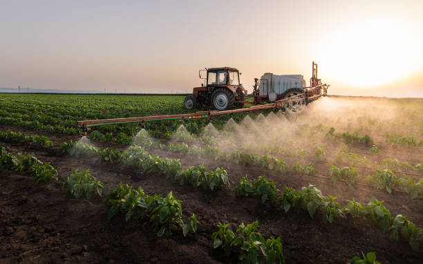 Best Pest Control for Businesses  in Loxley, AL