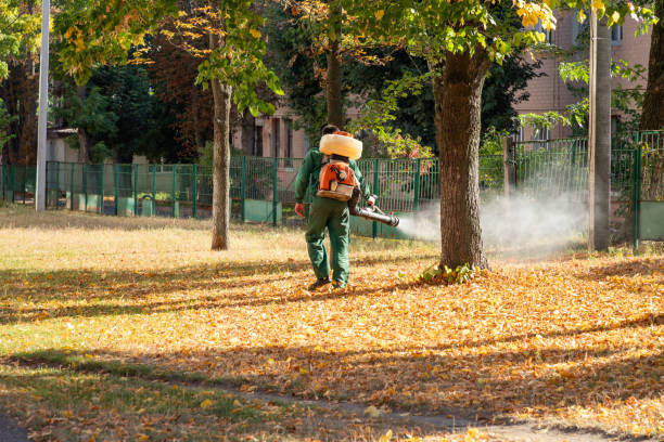 Best Pest Inspection Near Me  in Loxley, AL