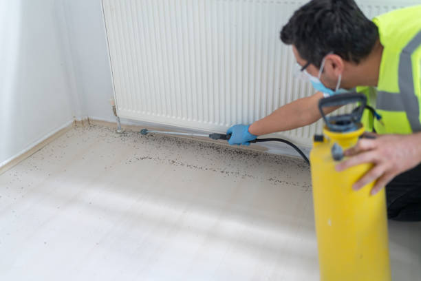 Best Exterminator Services  in Loxley, AL