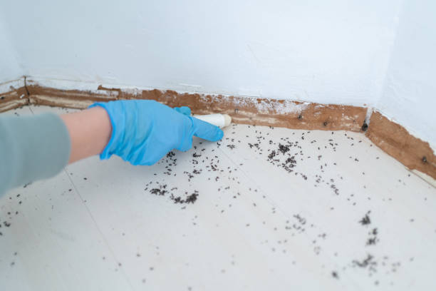 Best Residential Pest Control  in Loxley, AL
