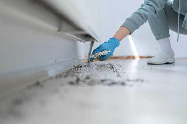 Trusted Loxley, AL Pest Control Experts